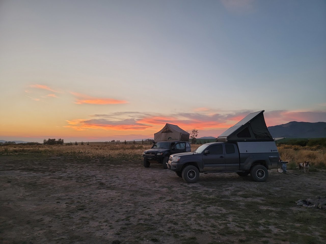 20210904_201813.jpg