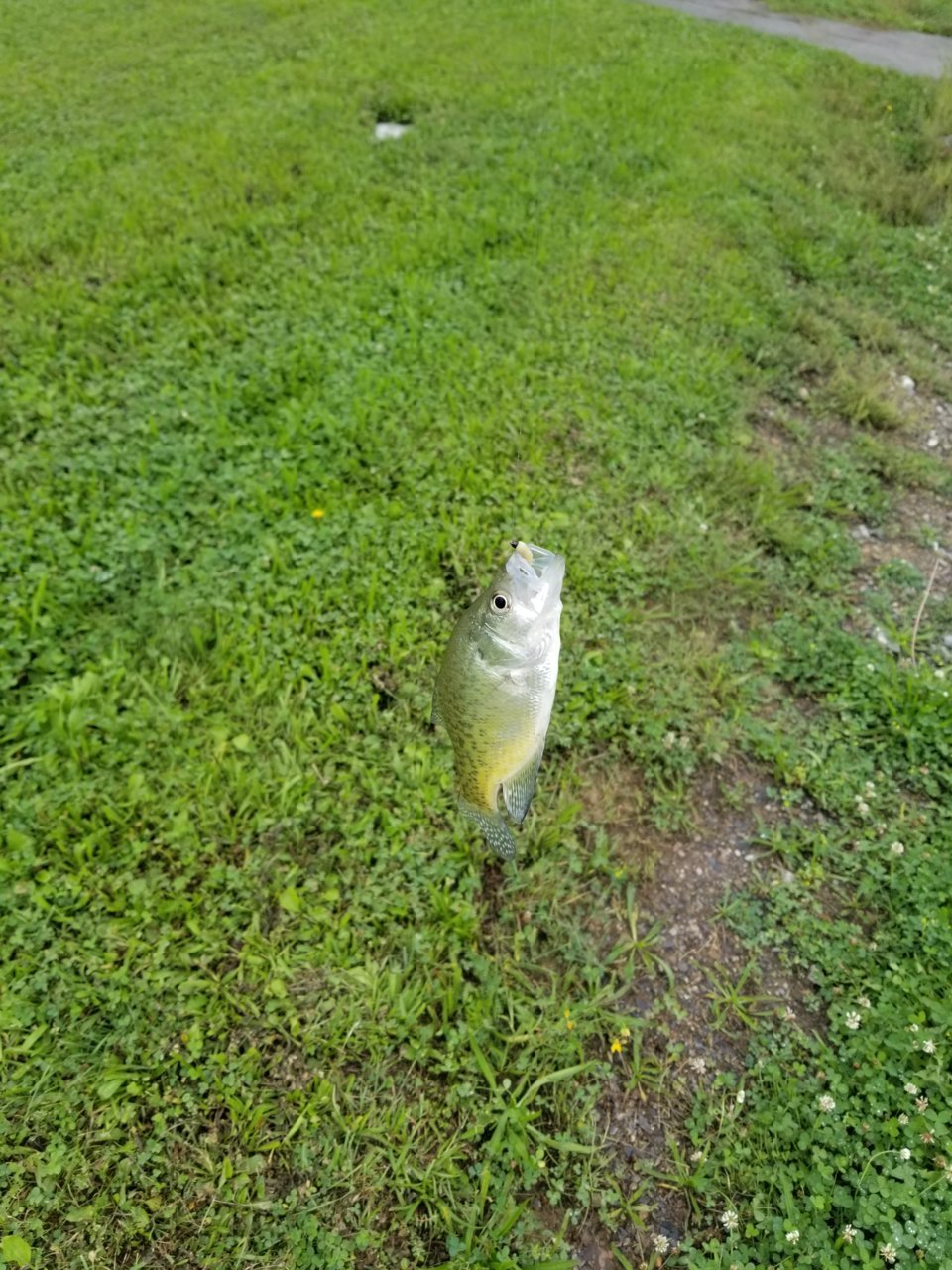 20210905_135938.jpg