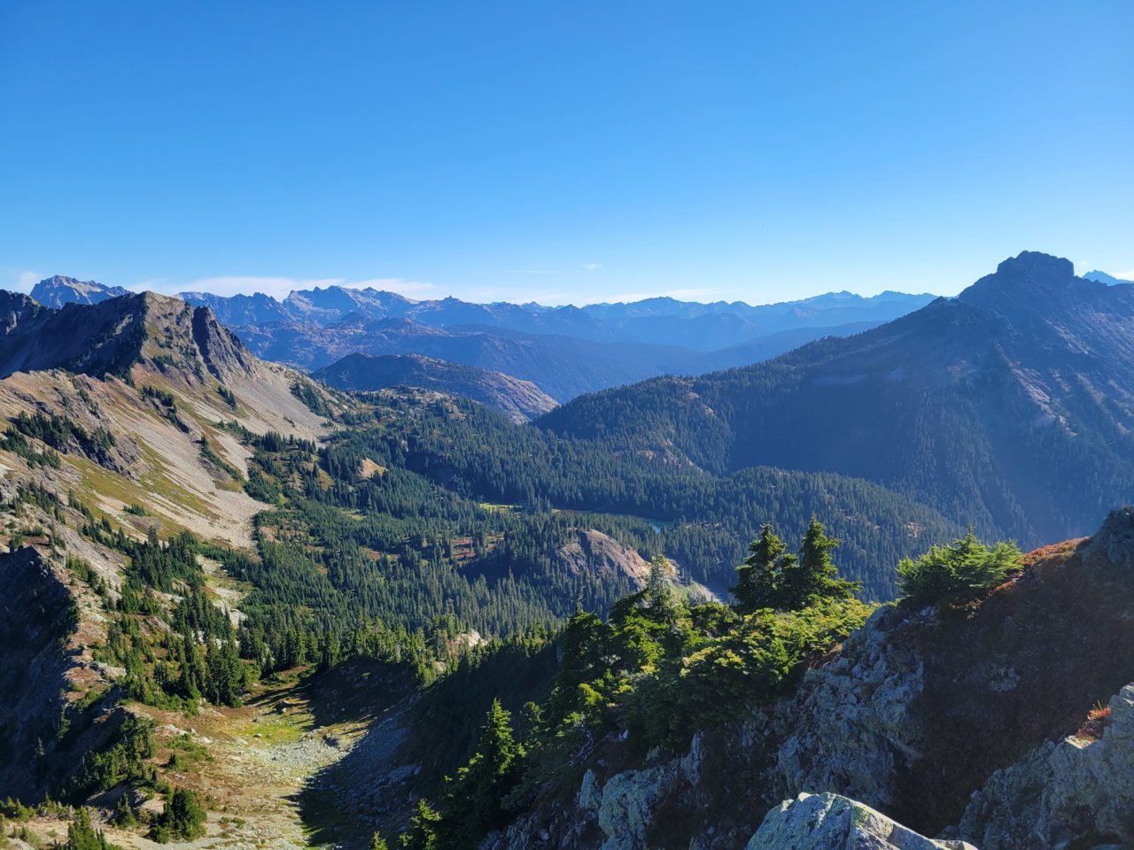 20210906_093737.jpg