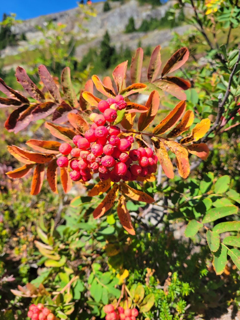 20210906_104535.jpg