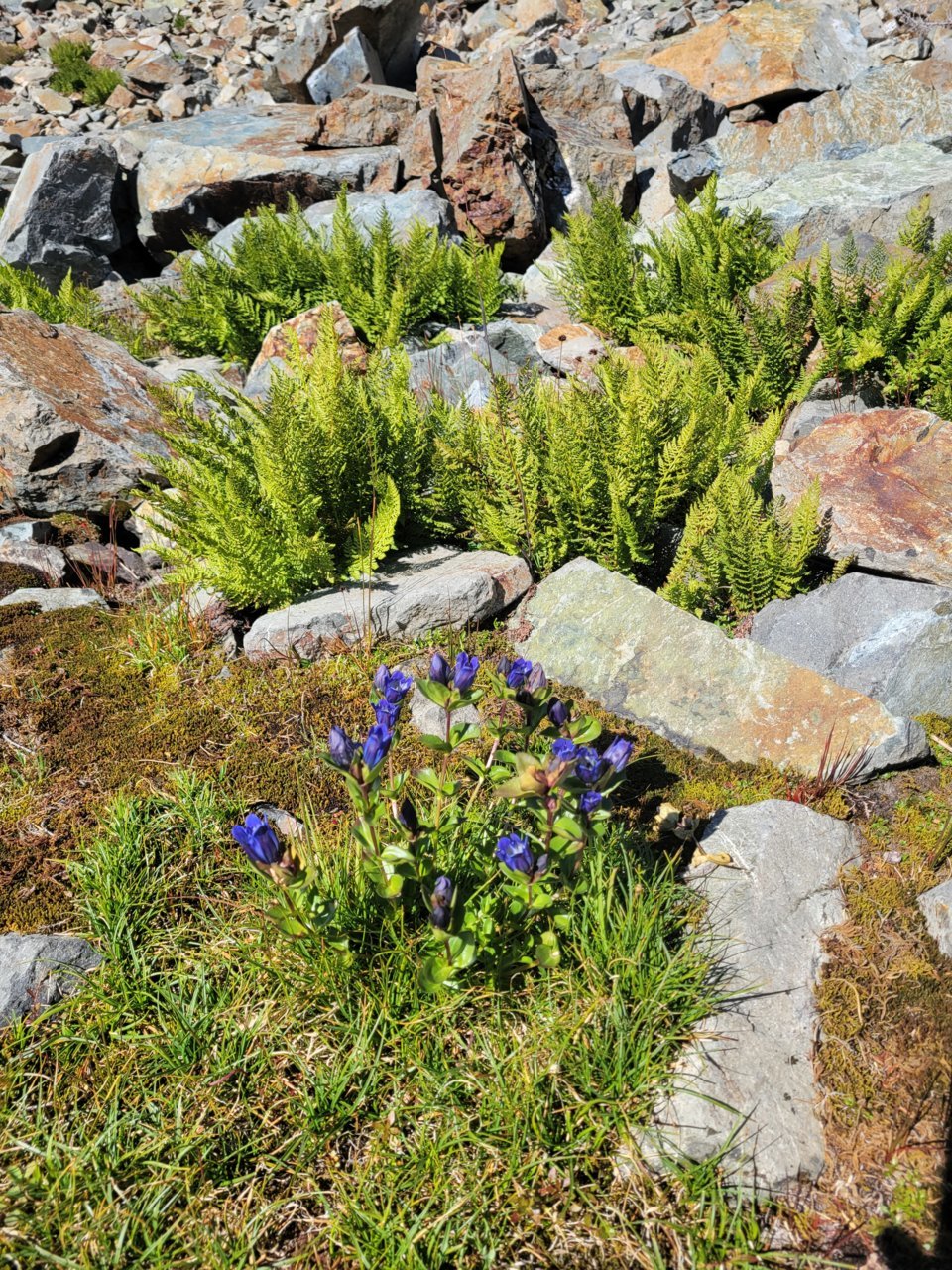 20210906_104743.jpg