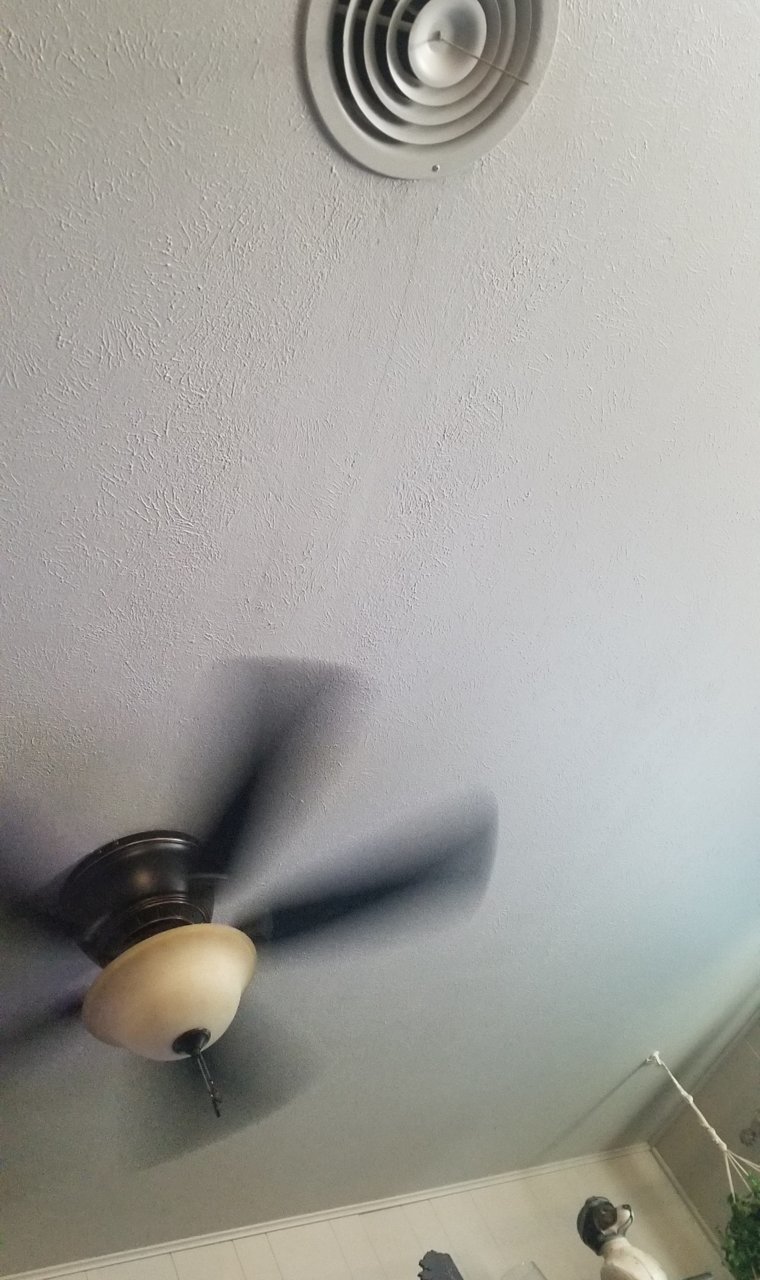 20210908_180007.jpg