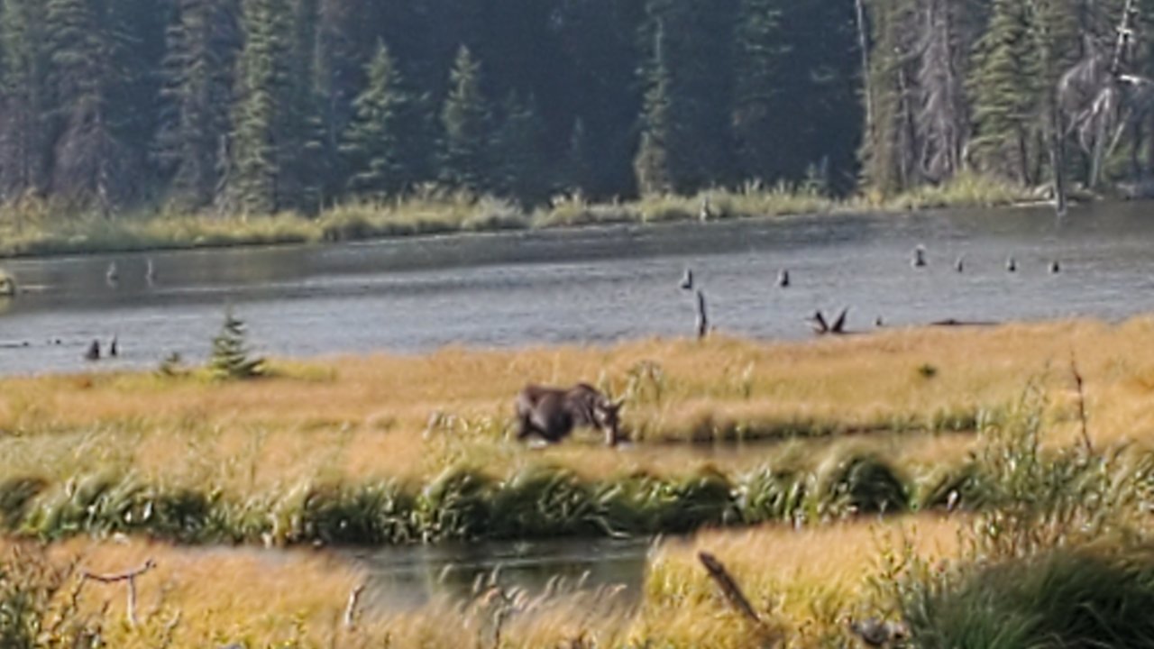 20210909_163106.jpg
