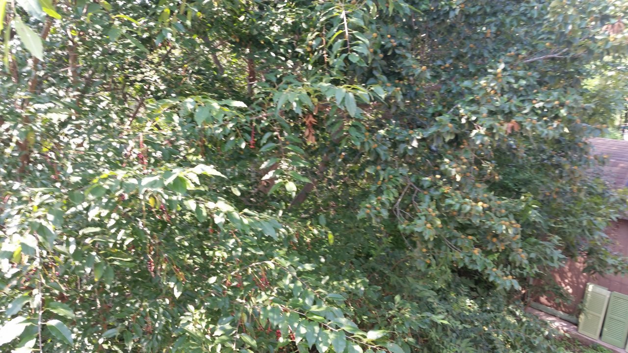 20210910_153211.jpg