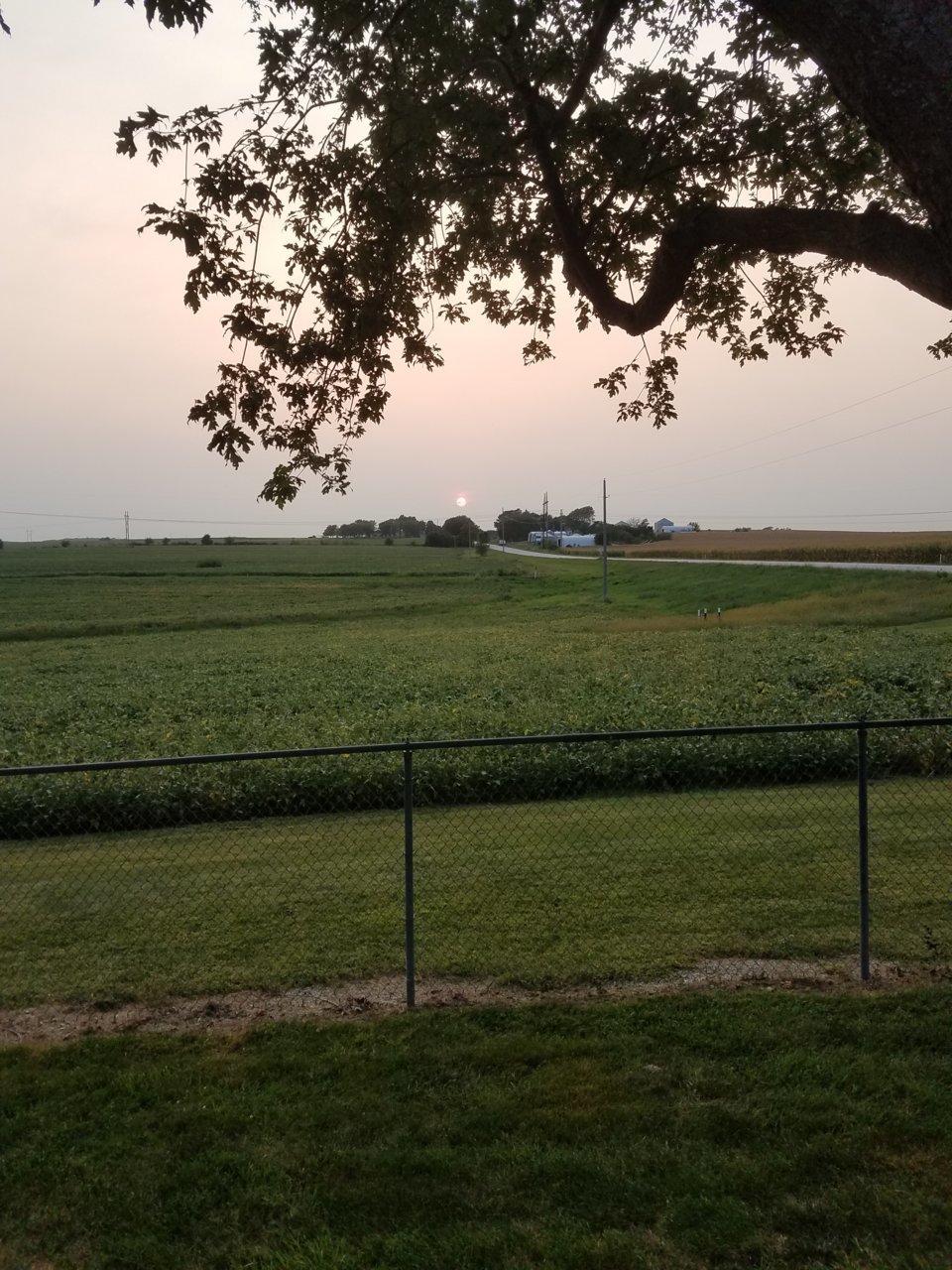 20210910_192045.jpg