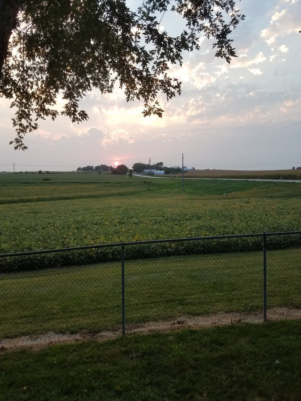 20210912_192050.jpg