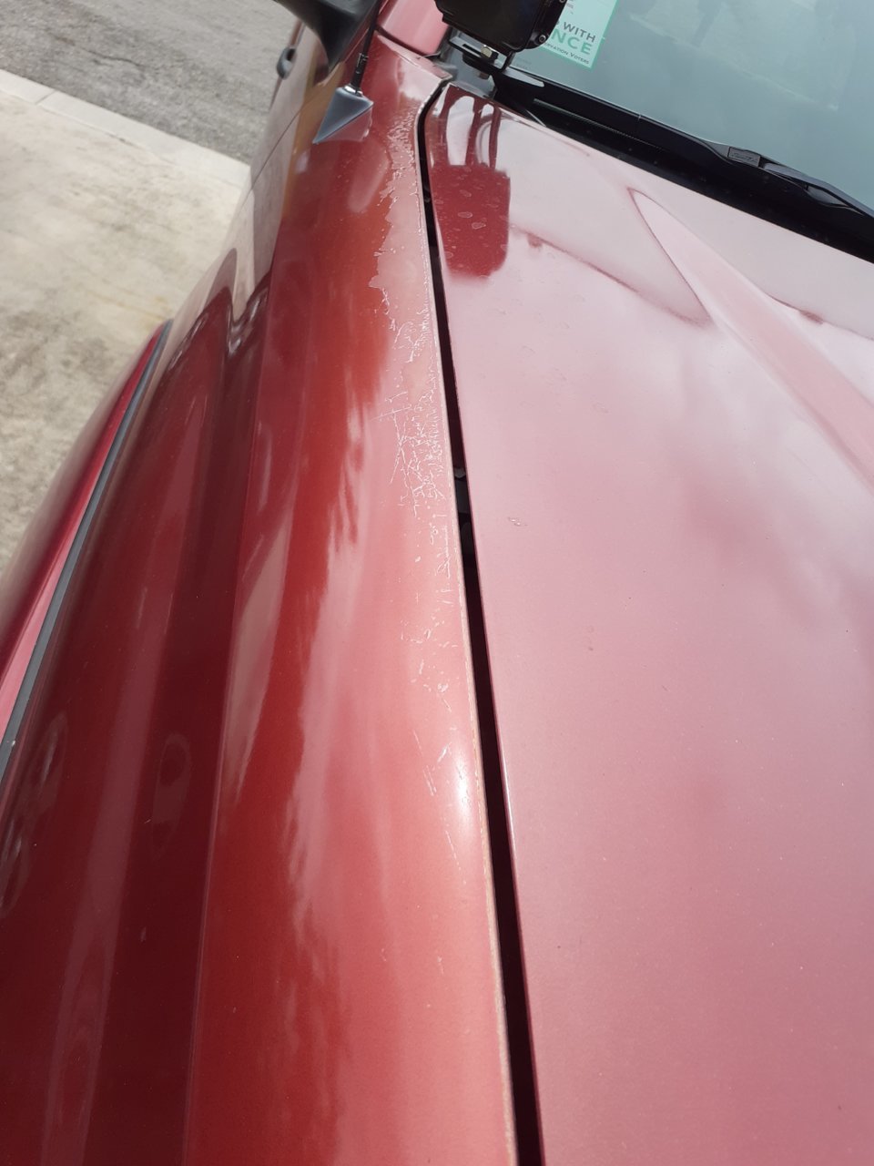 20210913_114543.jpg