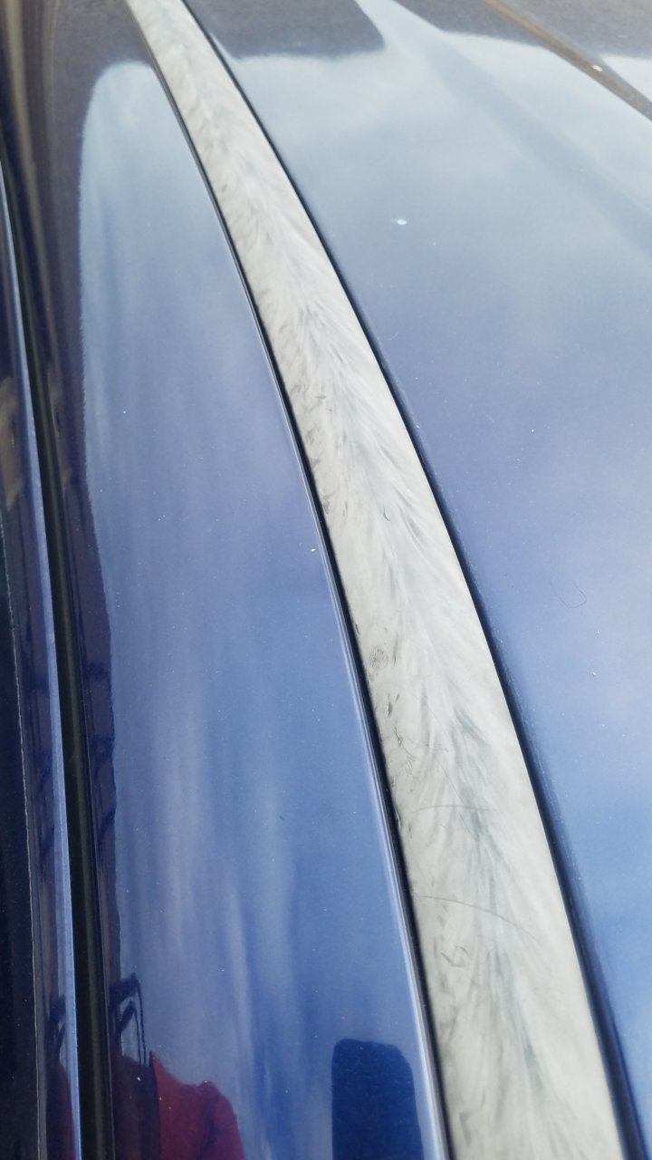20210913_162918.jpg