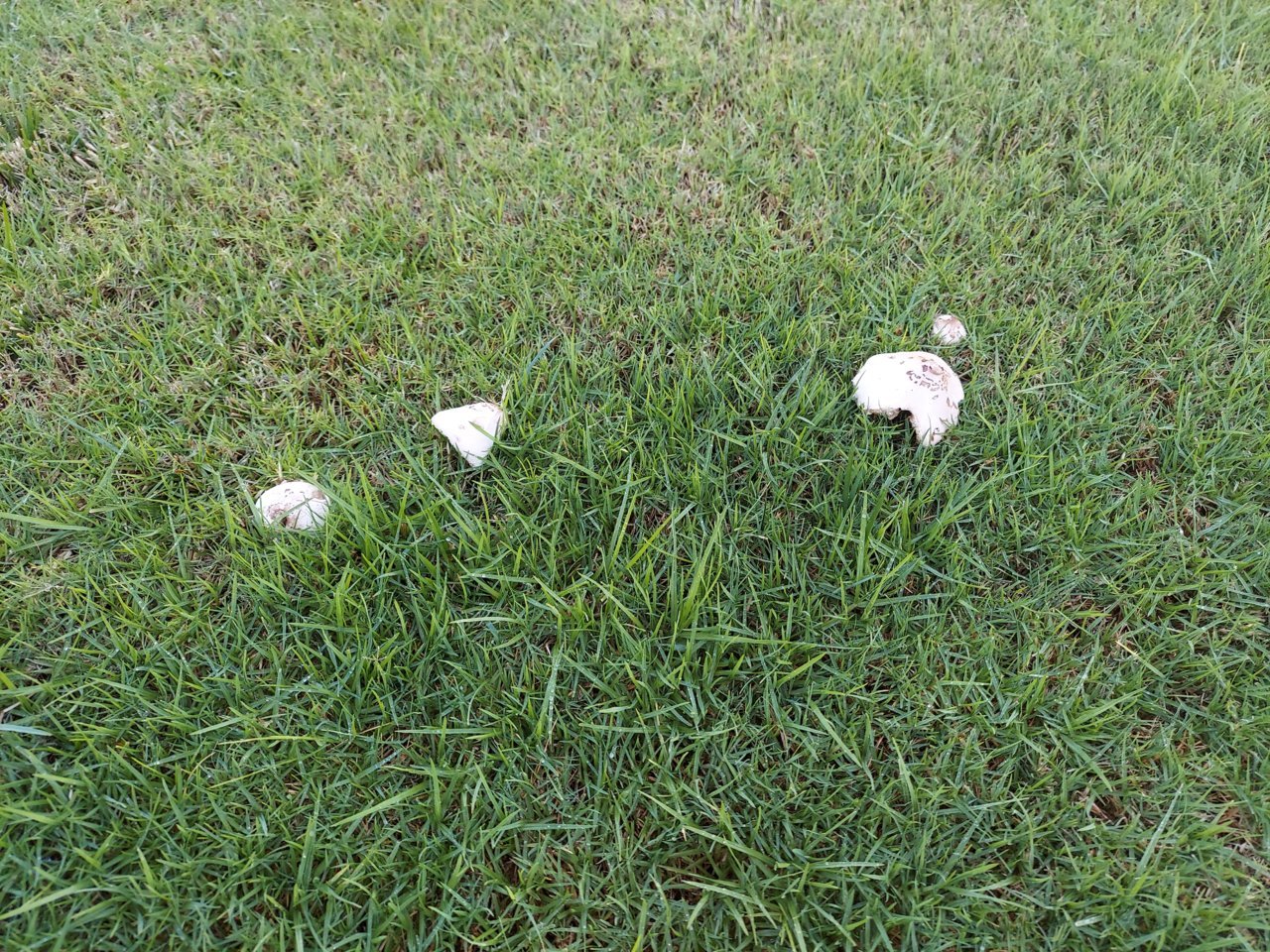 20210914_162733.jpg