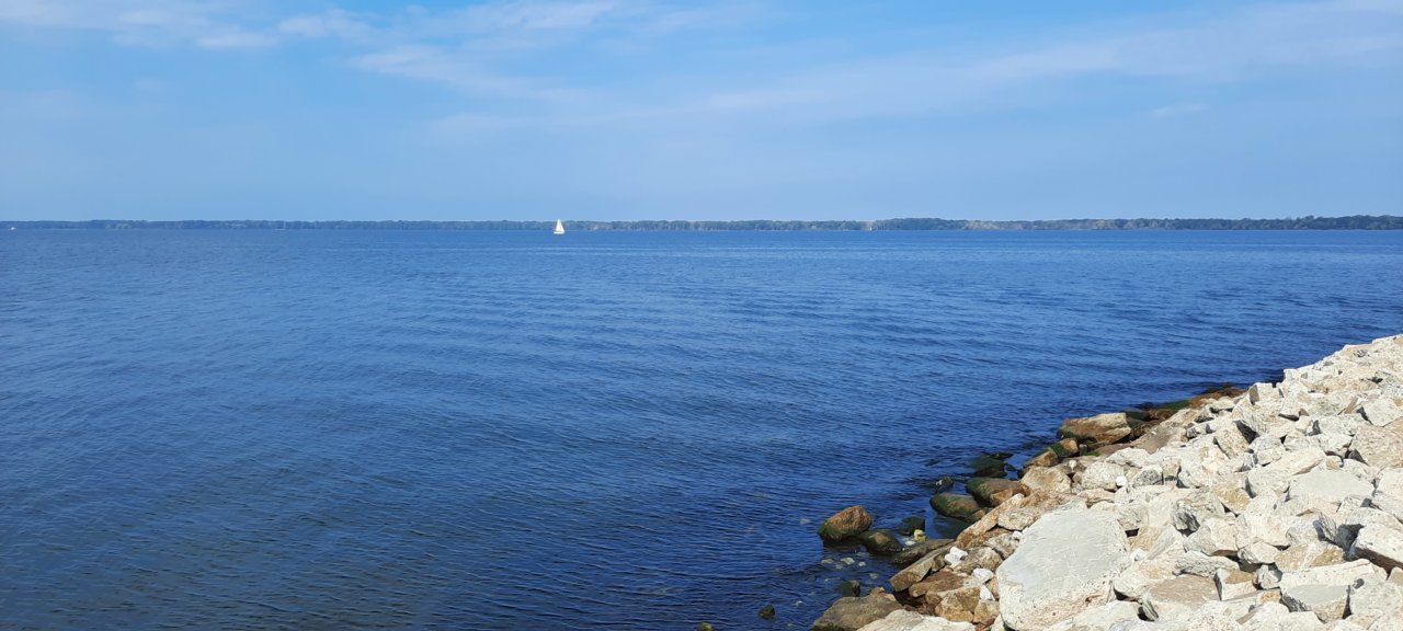 20210918_102052.jpg