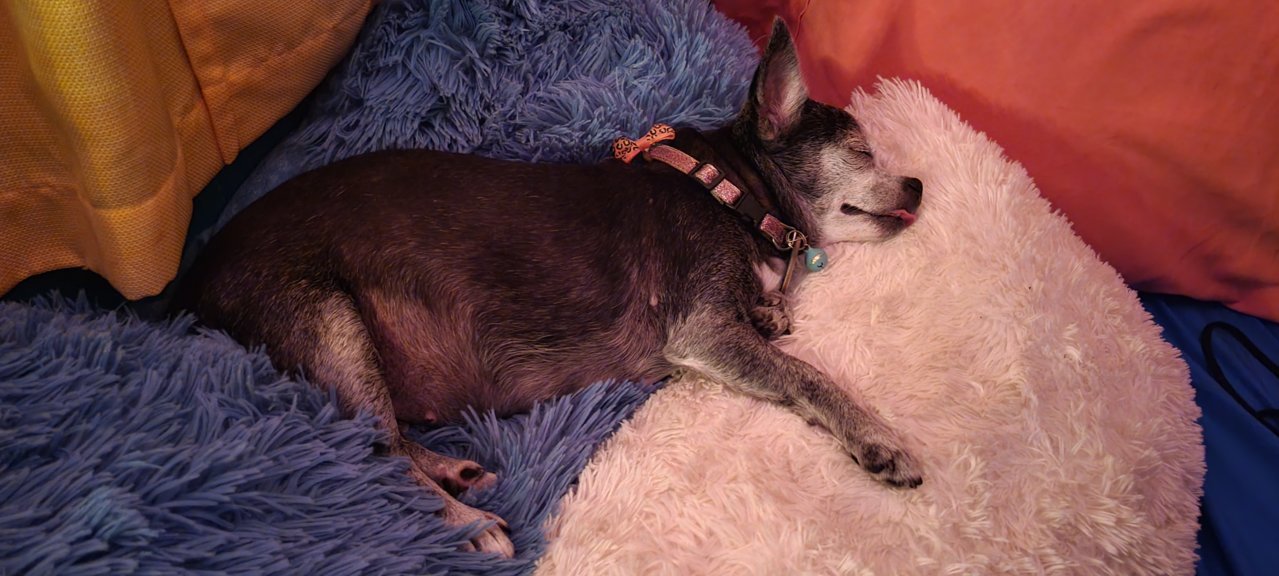 20210918_220833.jpg