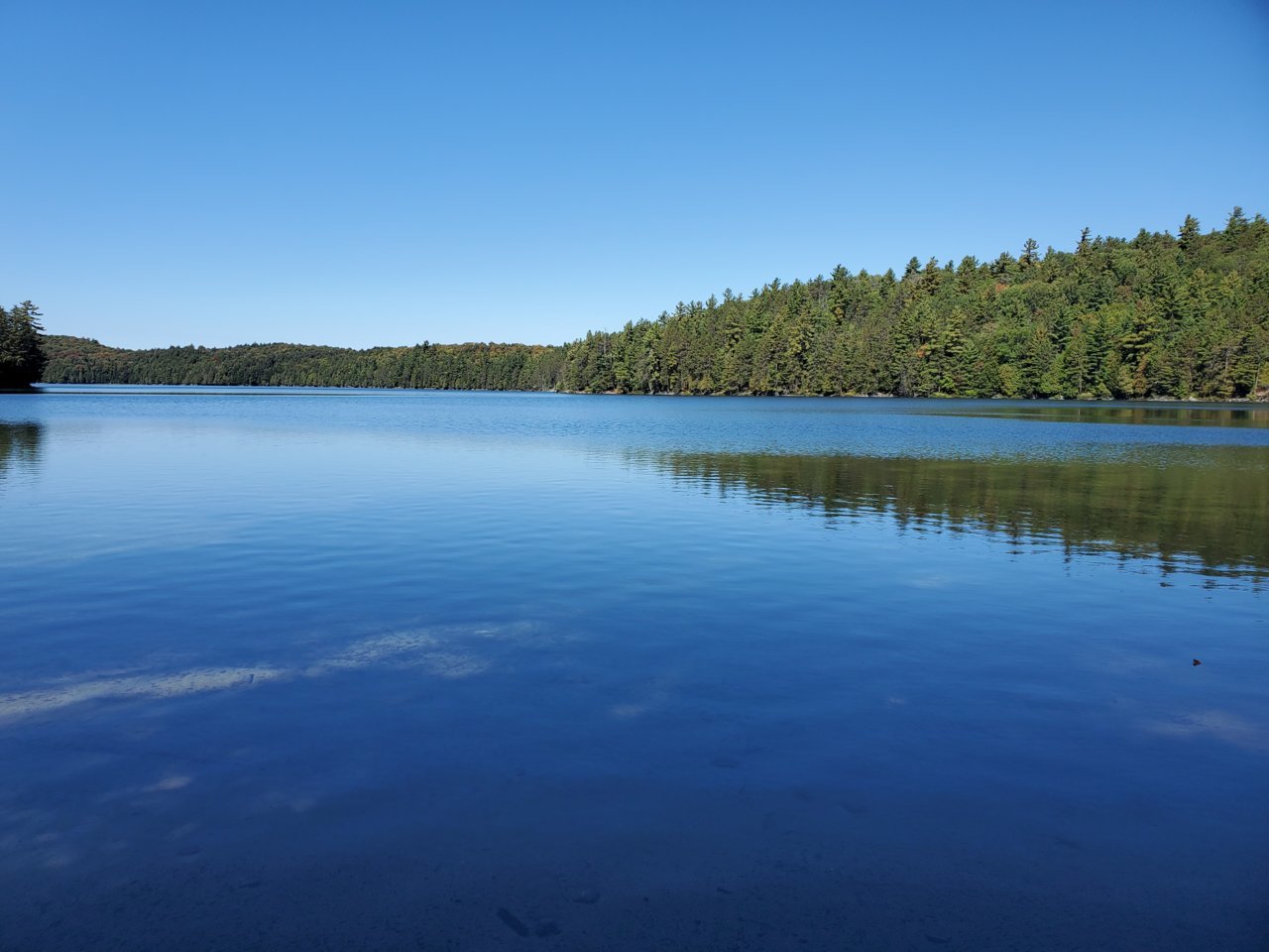 20210919_122458.jpg