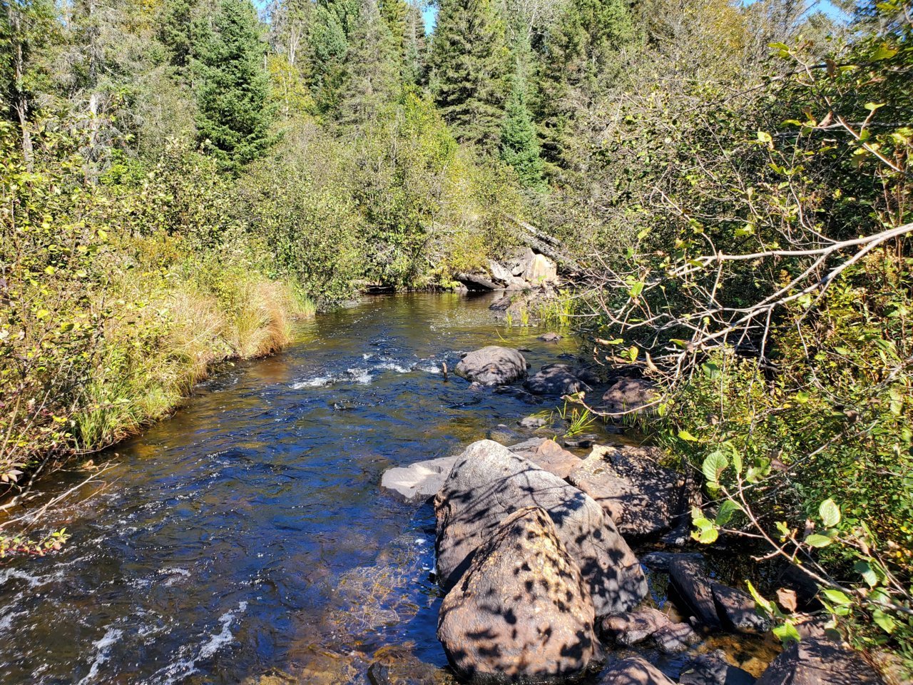 20210919_141944.jpg