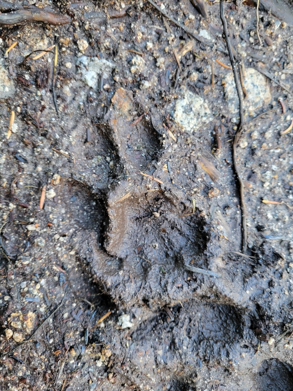 20210920_143240.jpg