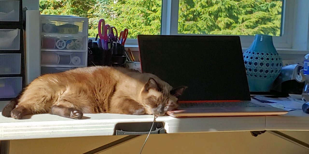 20210921_101335_HDR.jpg