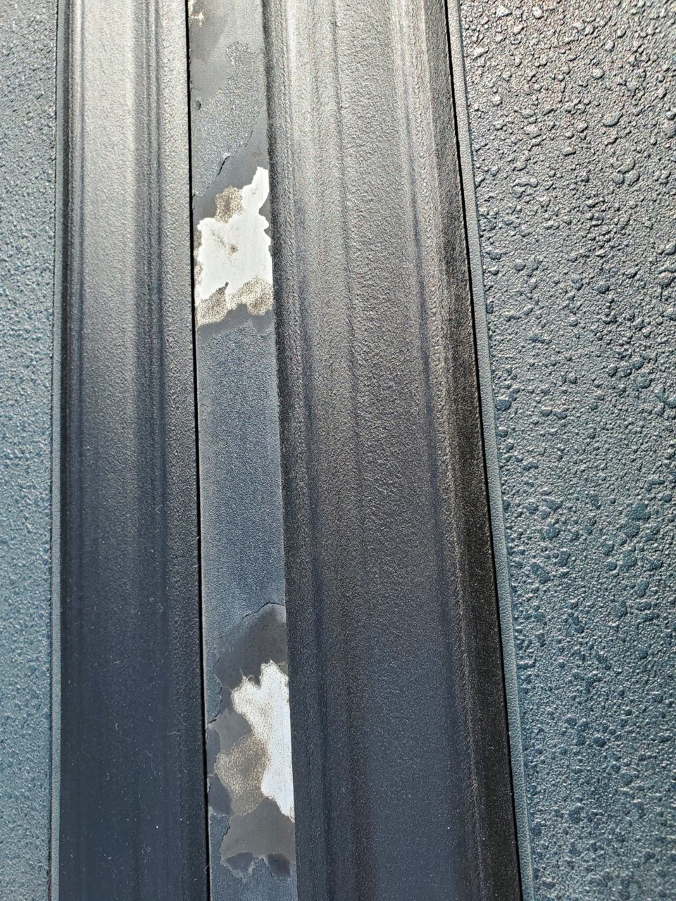 20210921_153913.jpg