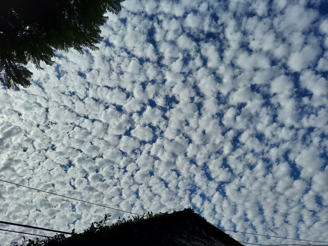 20210922_160614.jpg