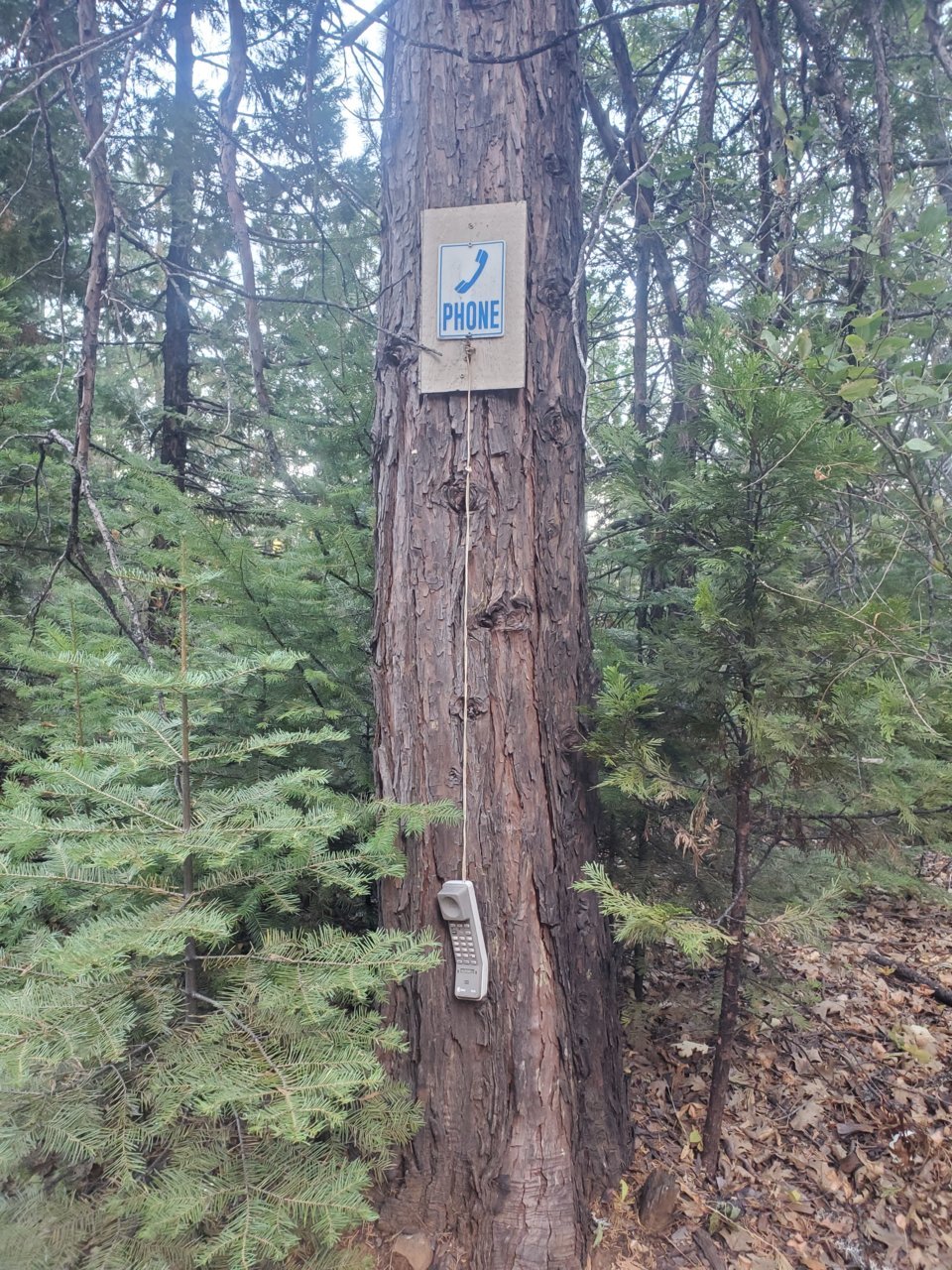 20210923_175321.jpg