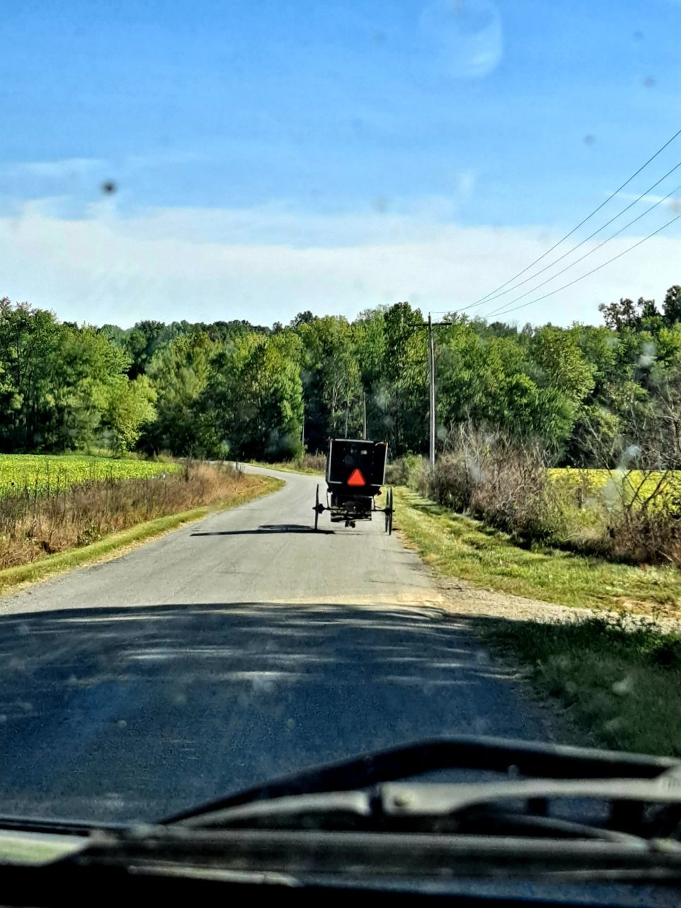 20210924_154309.jpg