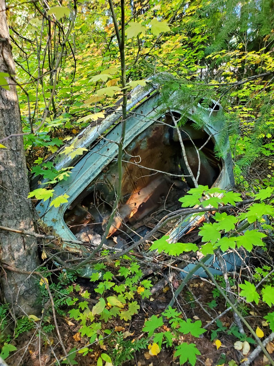 20210925_090454.jpg