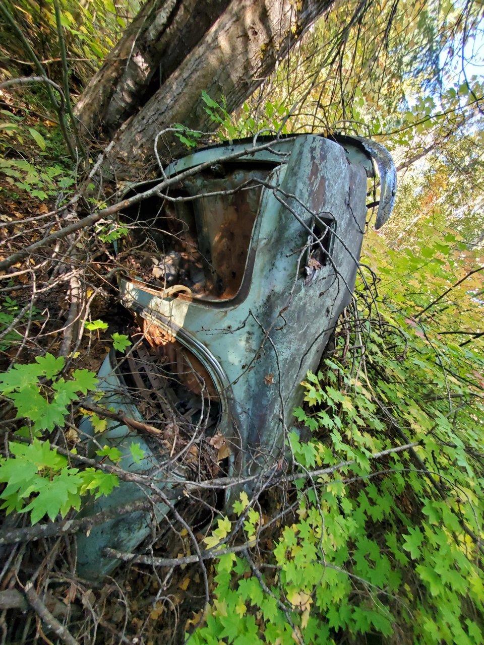 20210925_090513.jpg