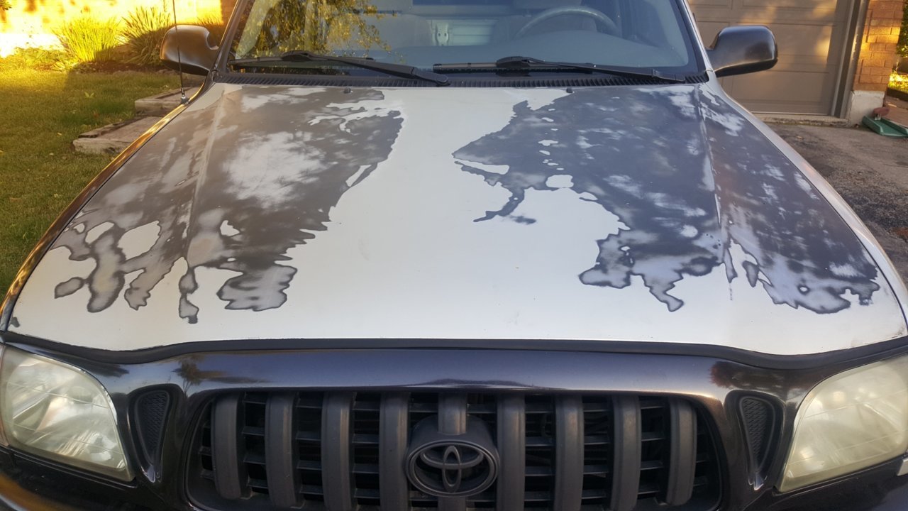 20210926_075553.jpg