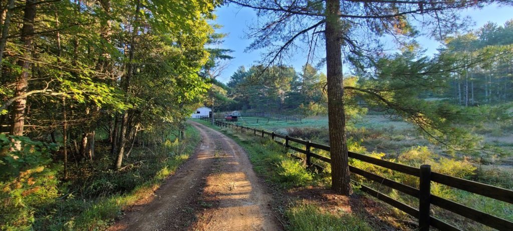 20210926_080527.jpg
