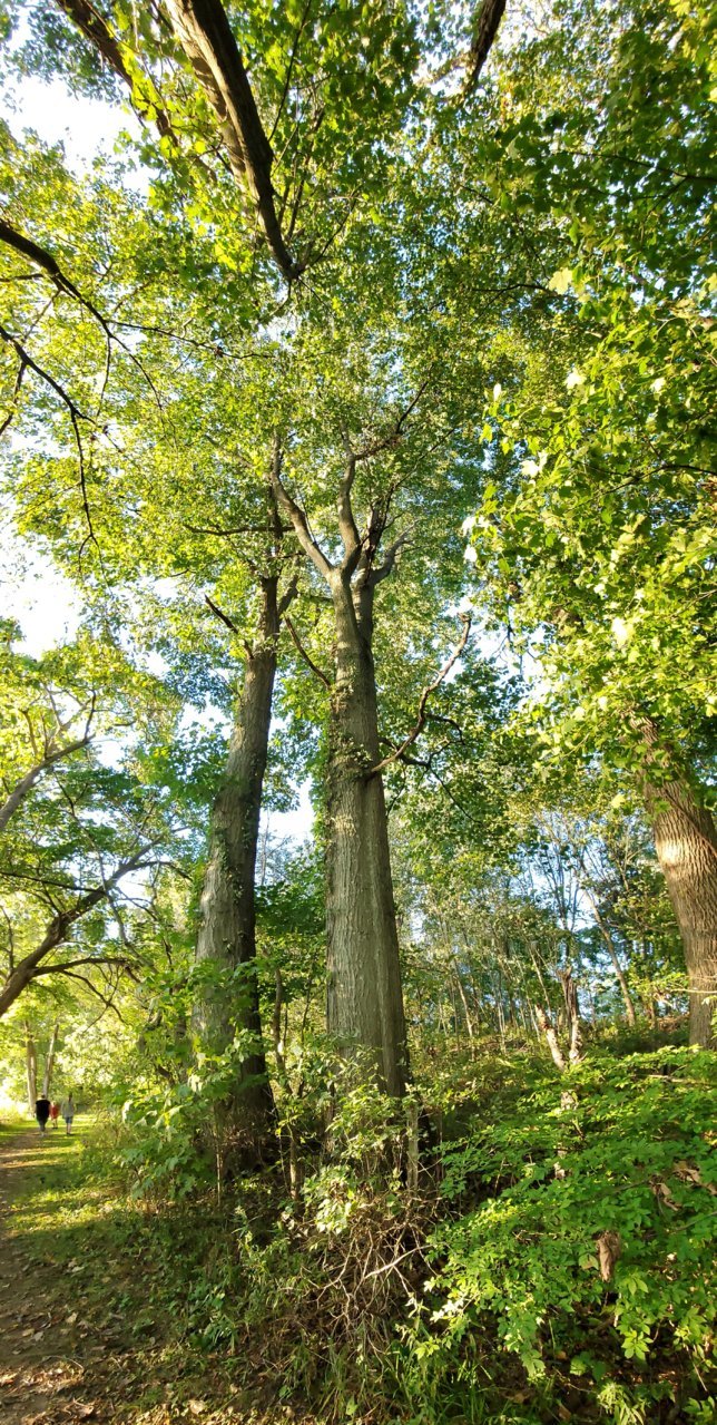 20210926_183656.jpg