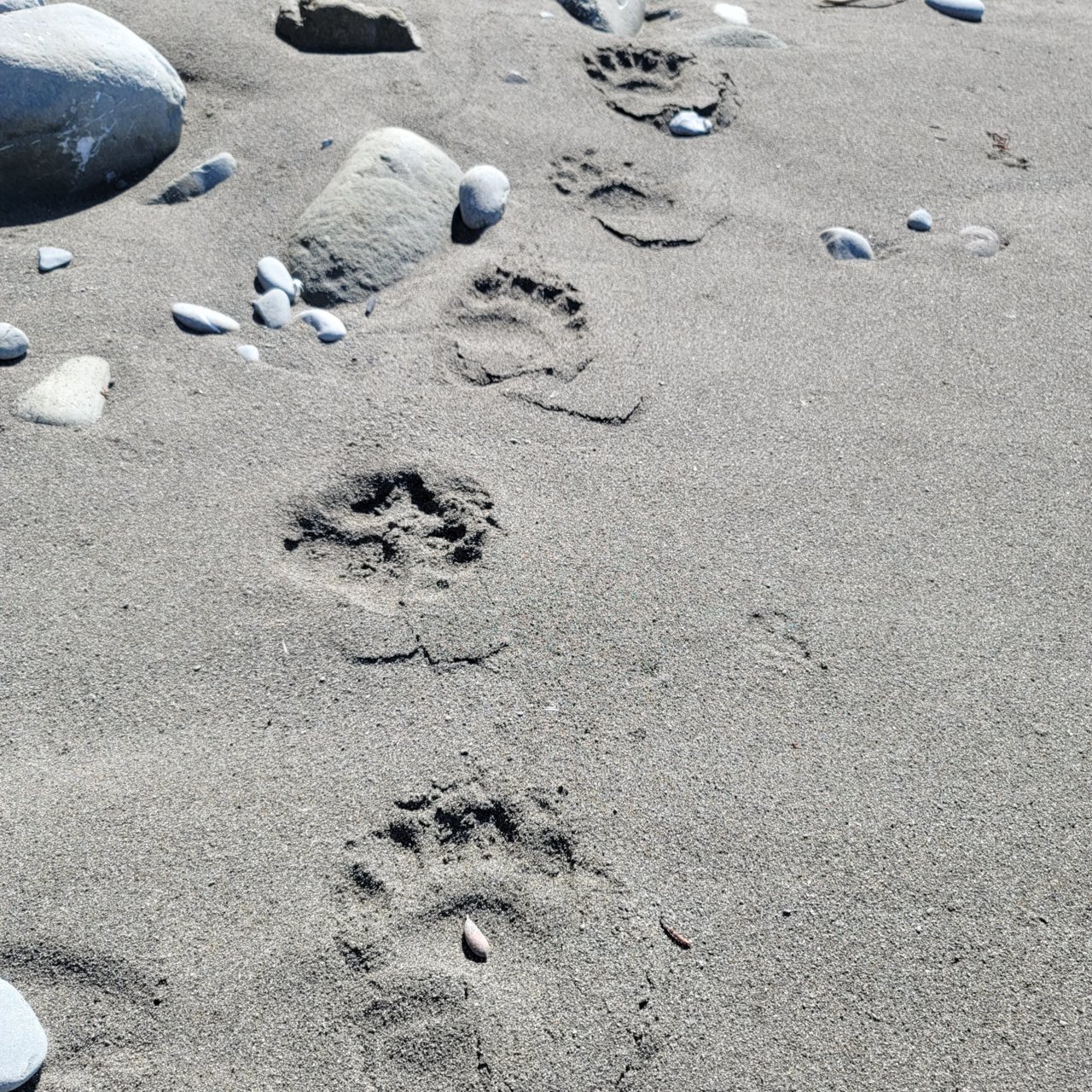20210929_114631.jpg