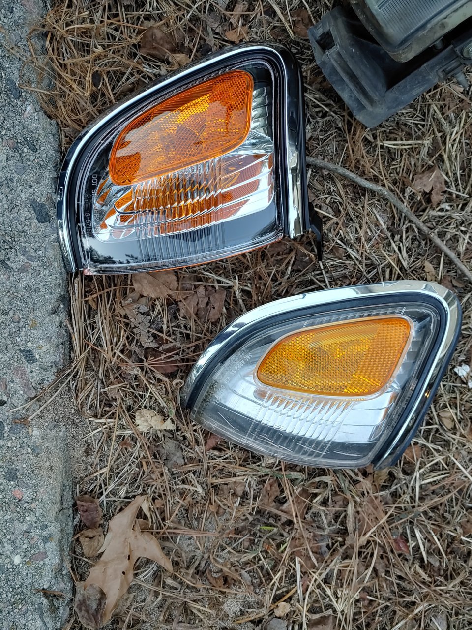 20210929_190902_HDR.jpg
