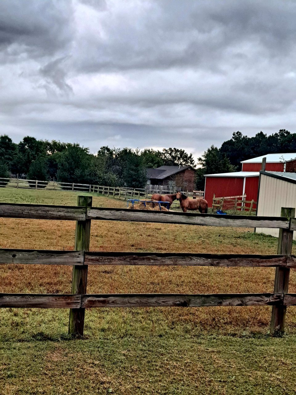 20210930_114206.jpg