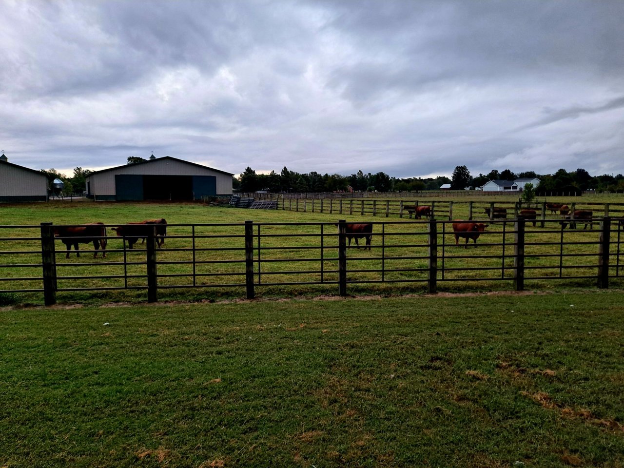 20210930_114414.jpg