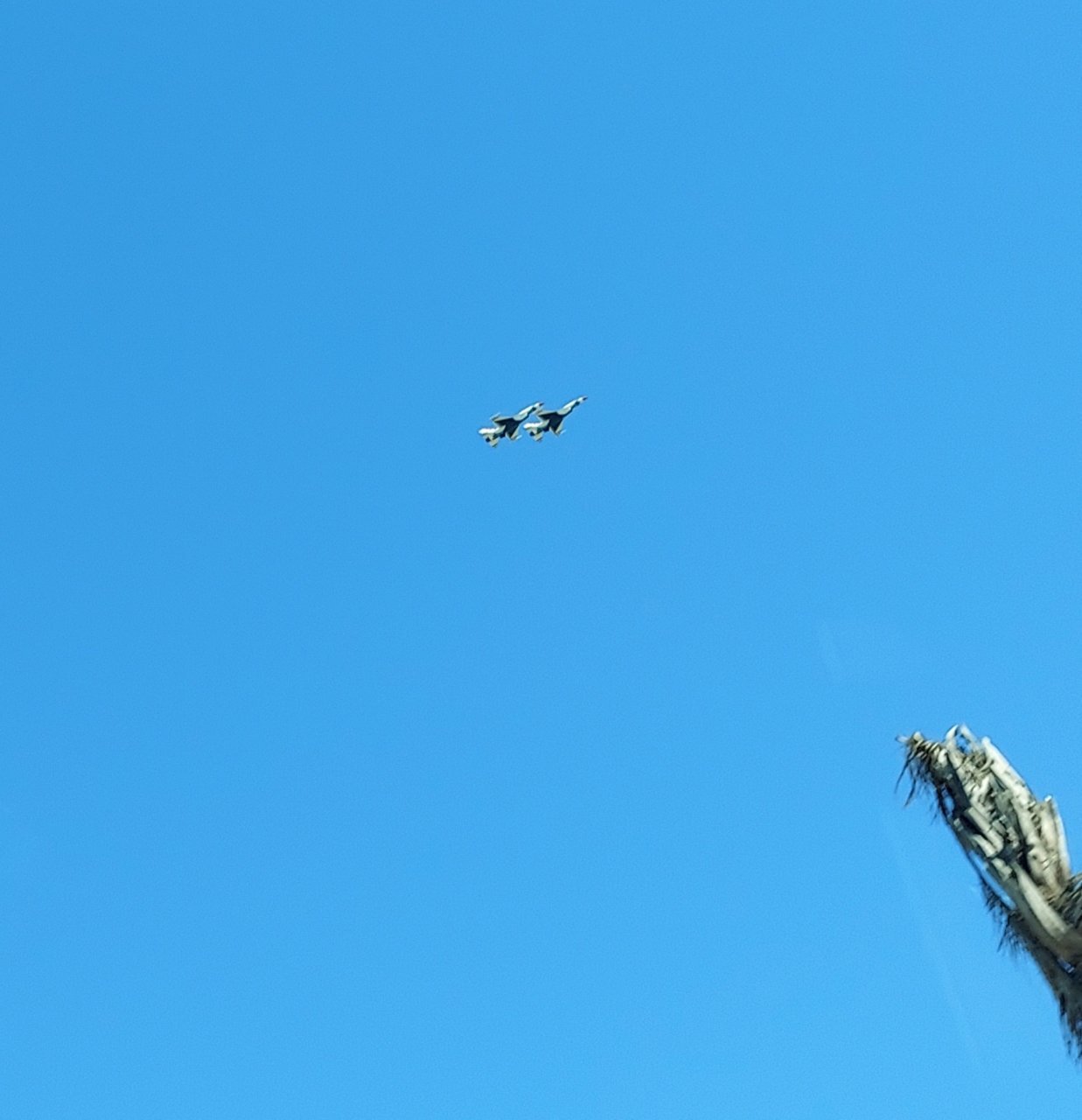 20210930_140939.jpg