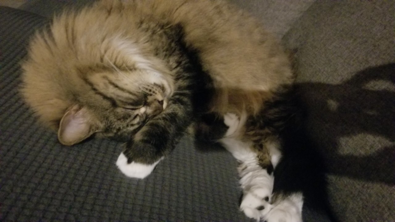 20211002_194536.jpg
