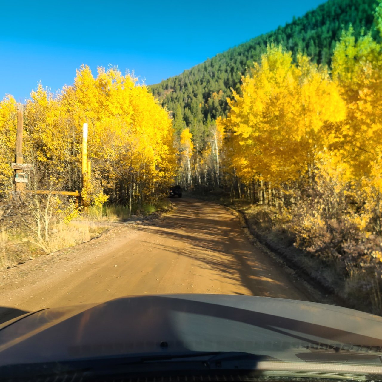 20211003_080943.jpg