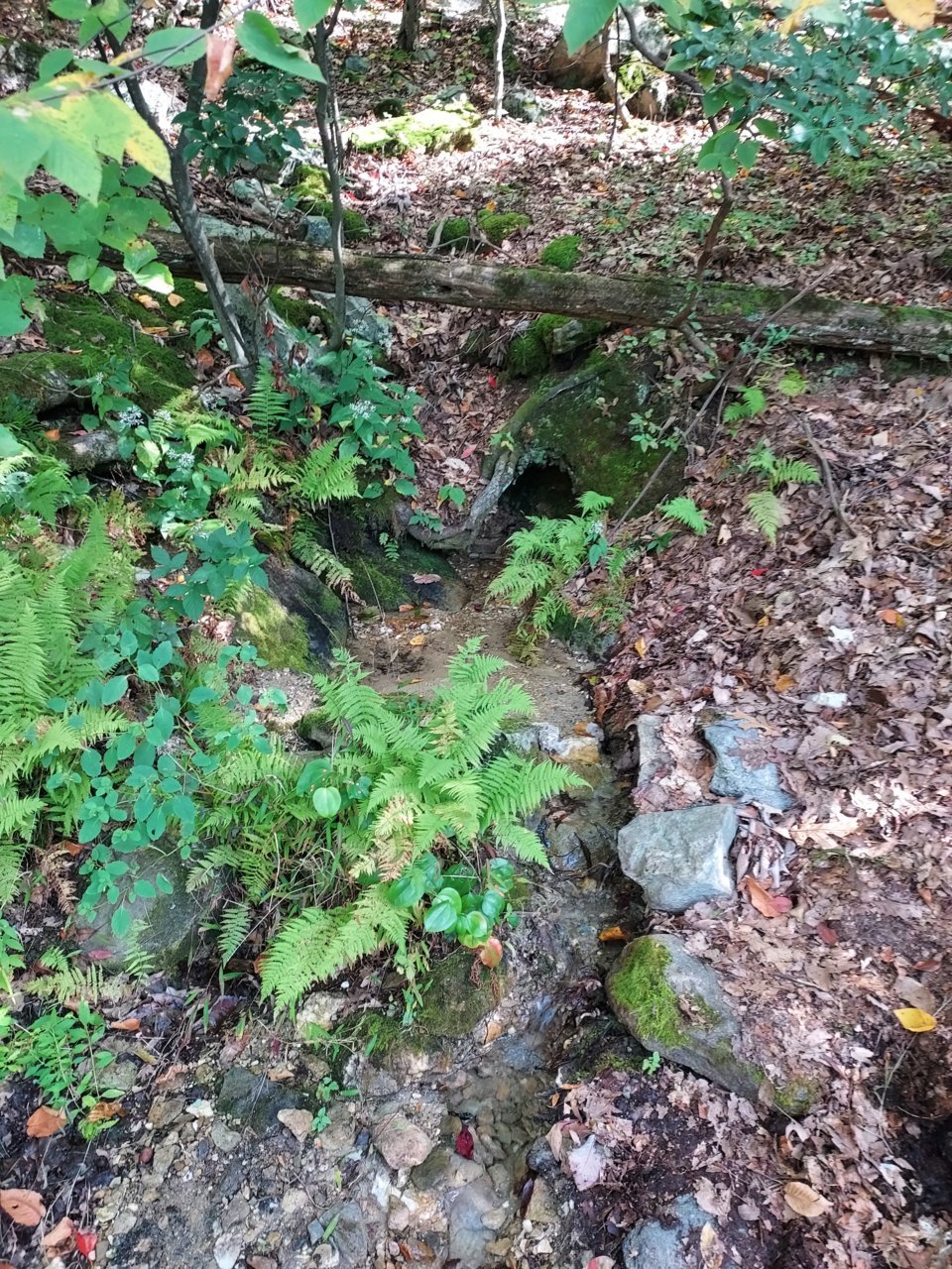20211003_114358.jpg