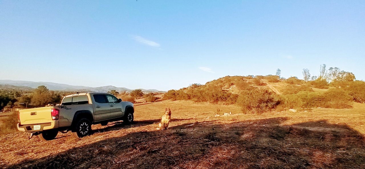20211003_174618~2.jpg
