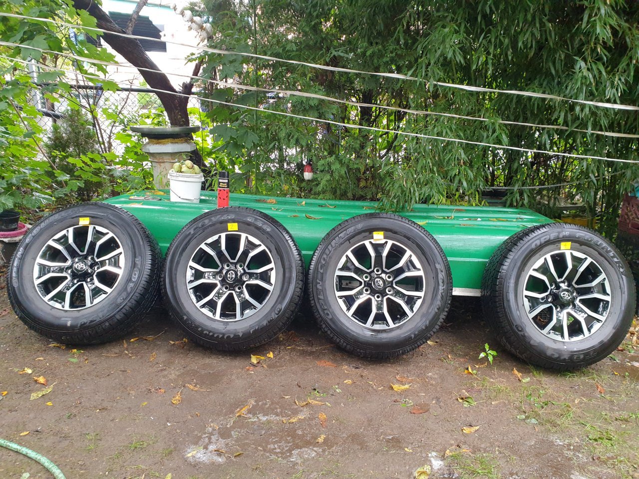 20211005_131345 - Copy.jpg