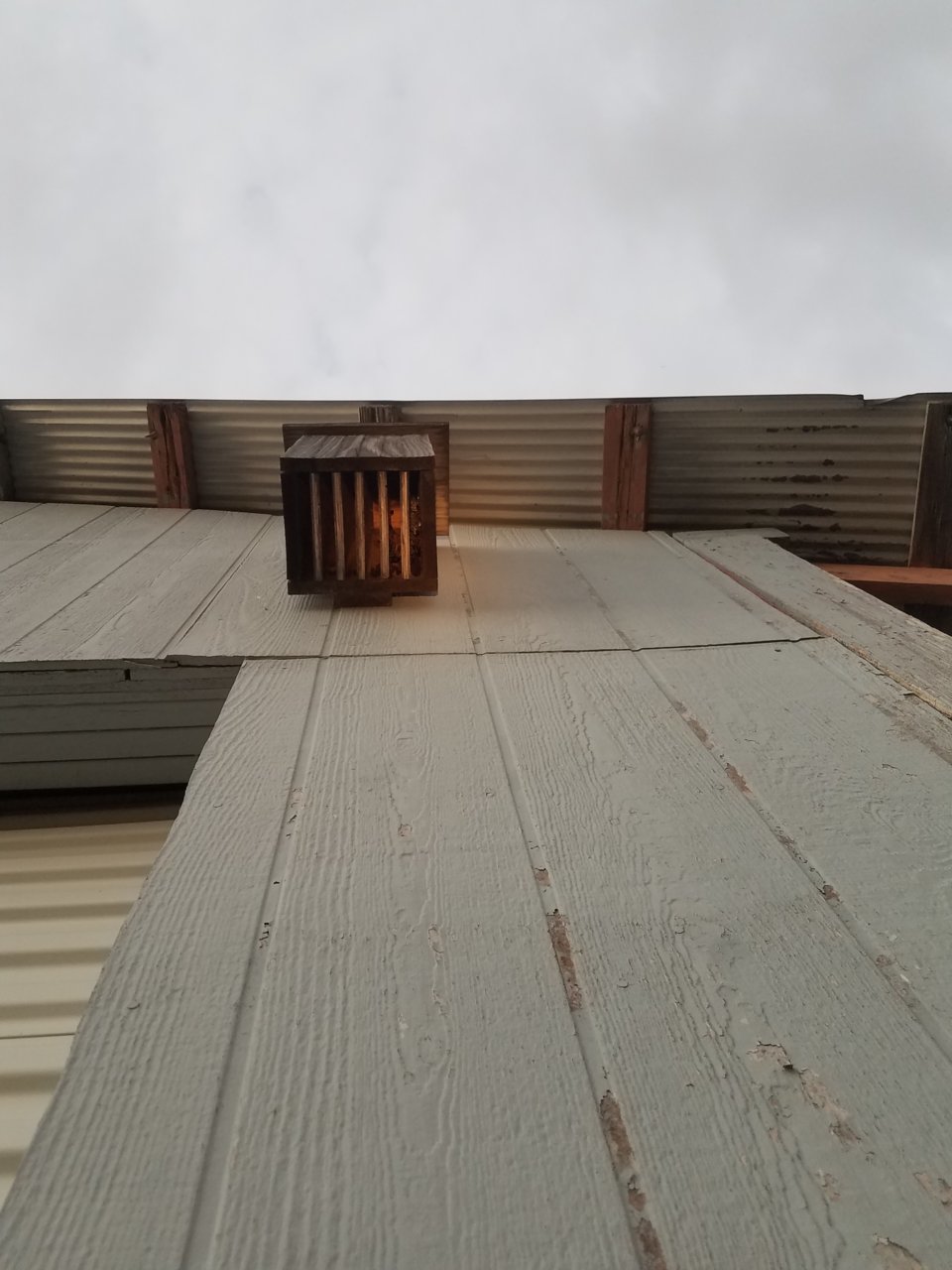 20211005_185931.jpg