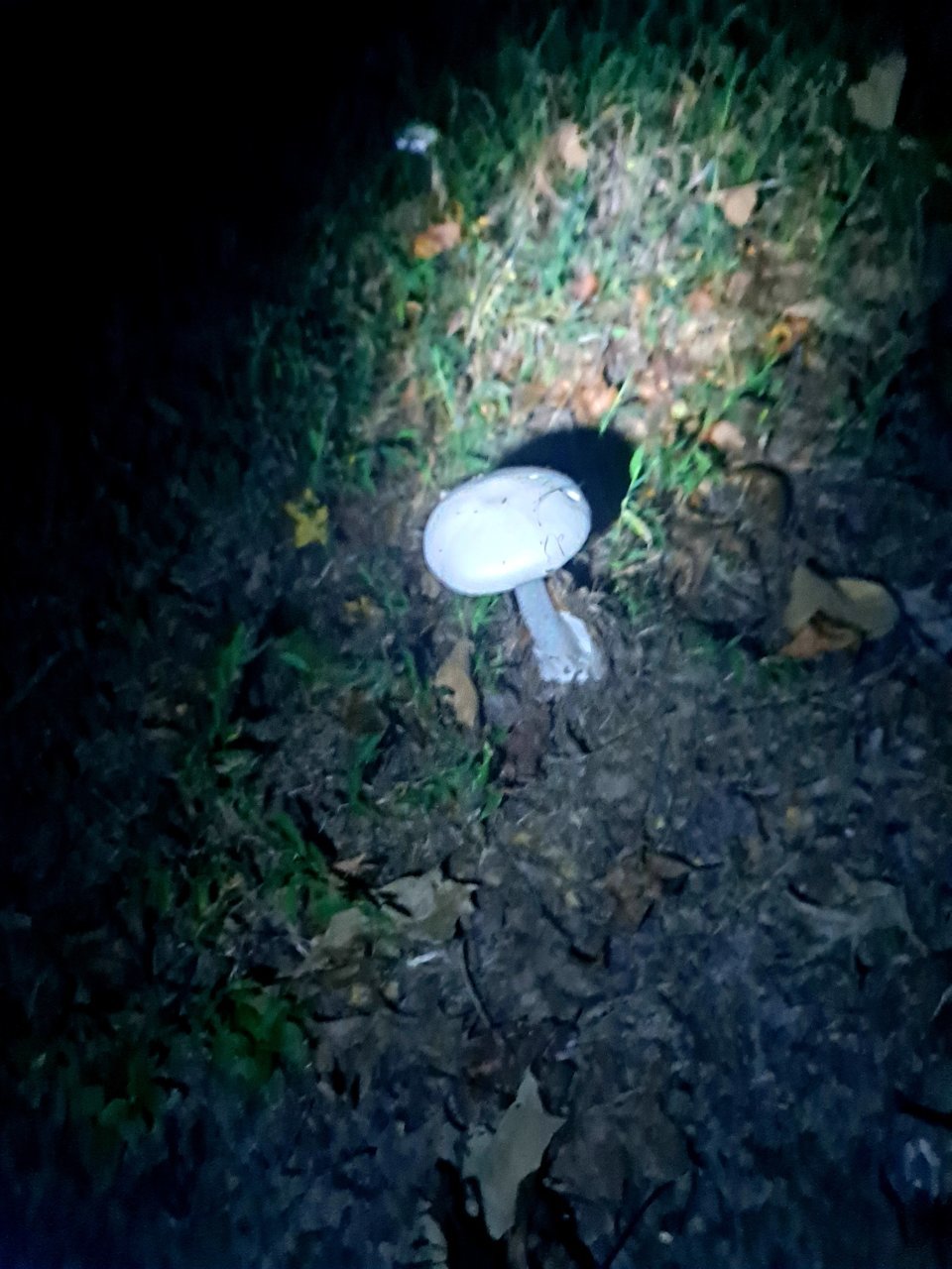 20211008_185944.jpg