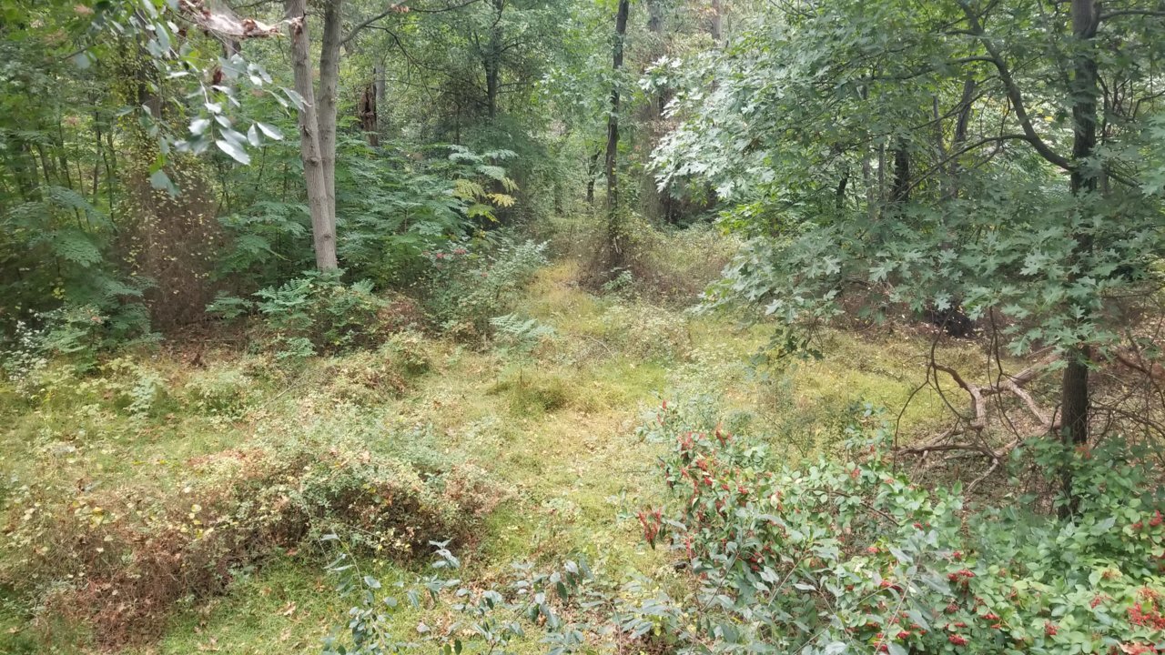 20211009_151843.jpg