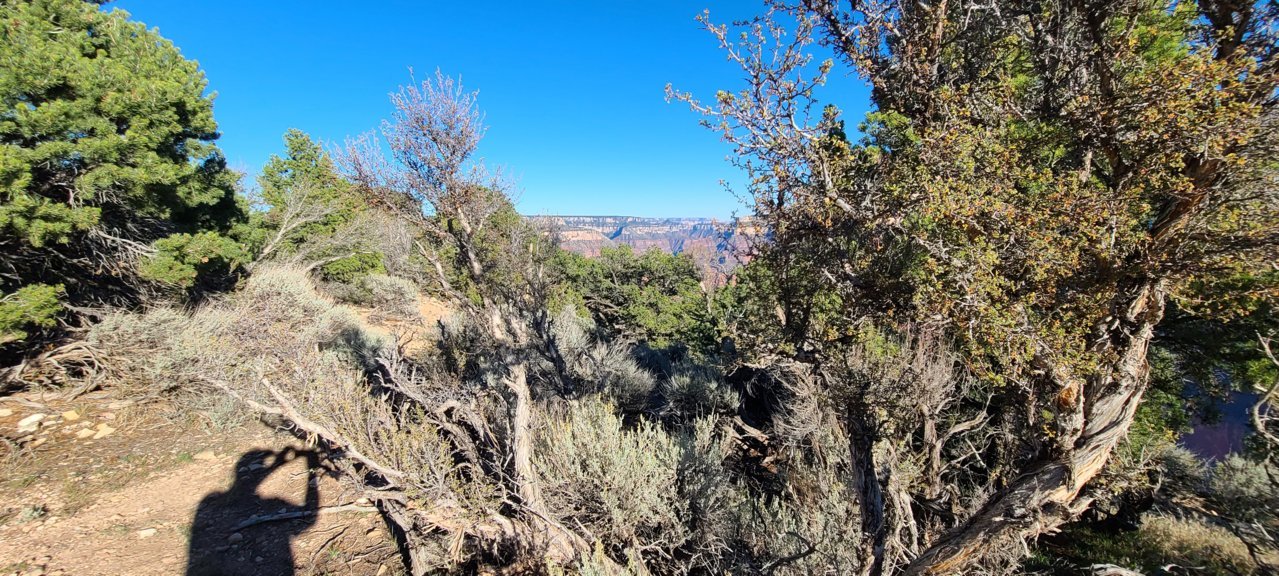 20211010_161407.jpg