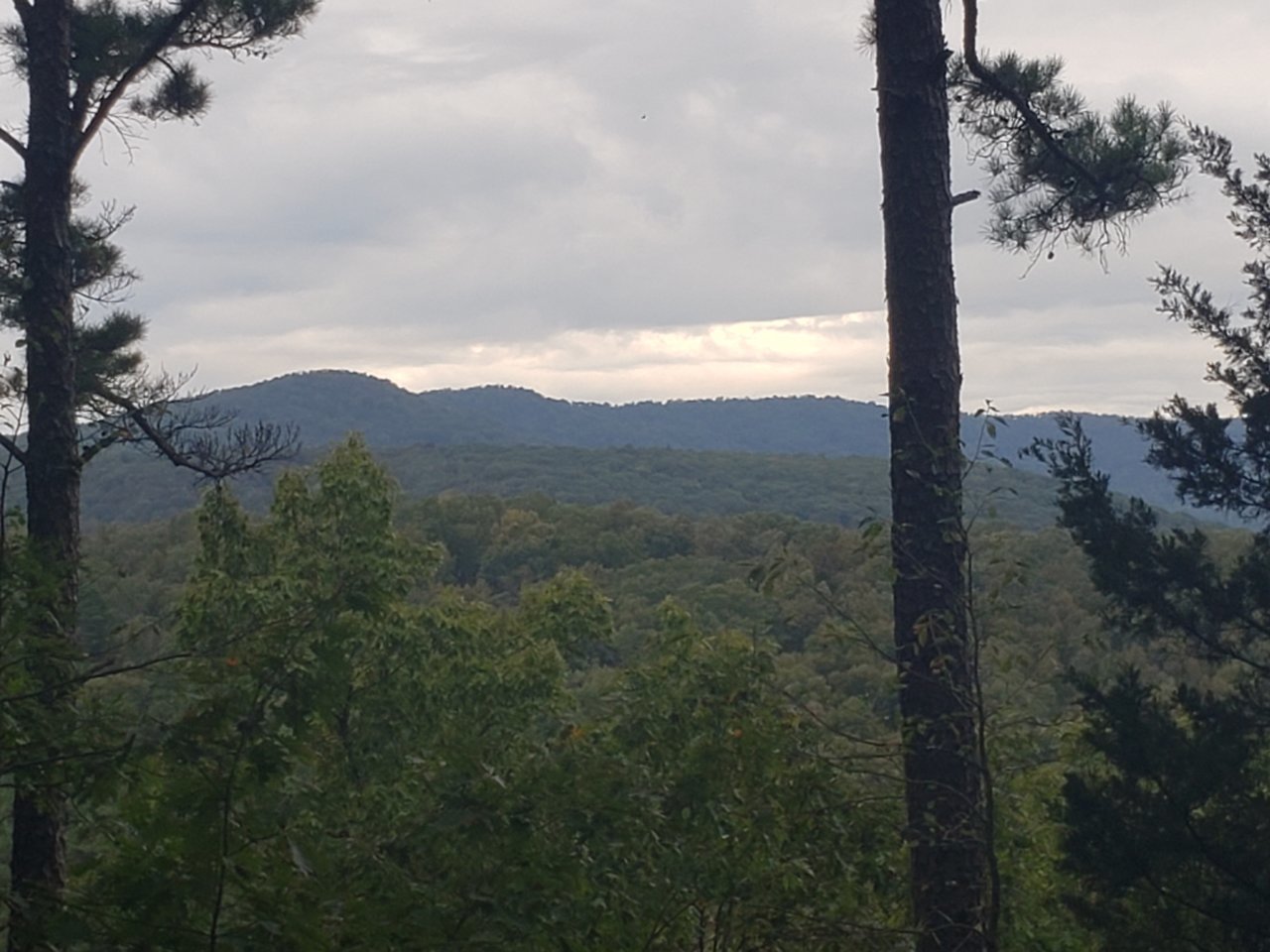 20211012_160916.jpg