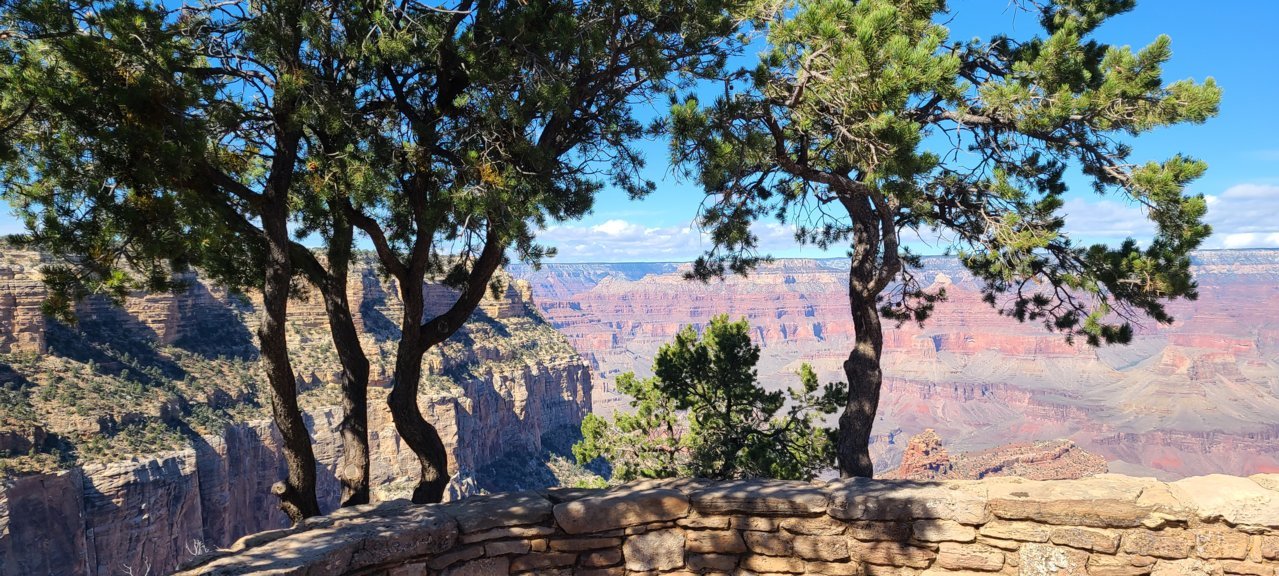 20211013_131917.jpg