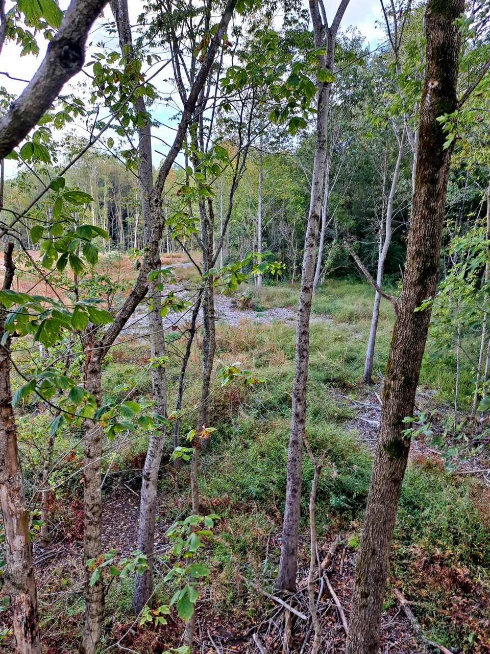 20211013_162510.jpg