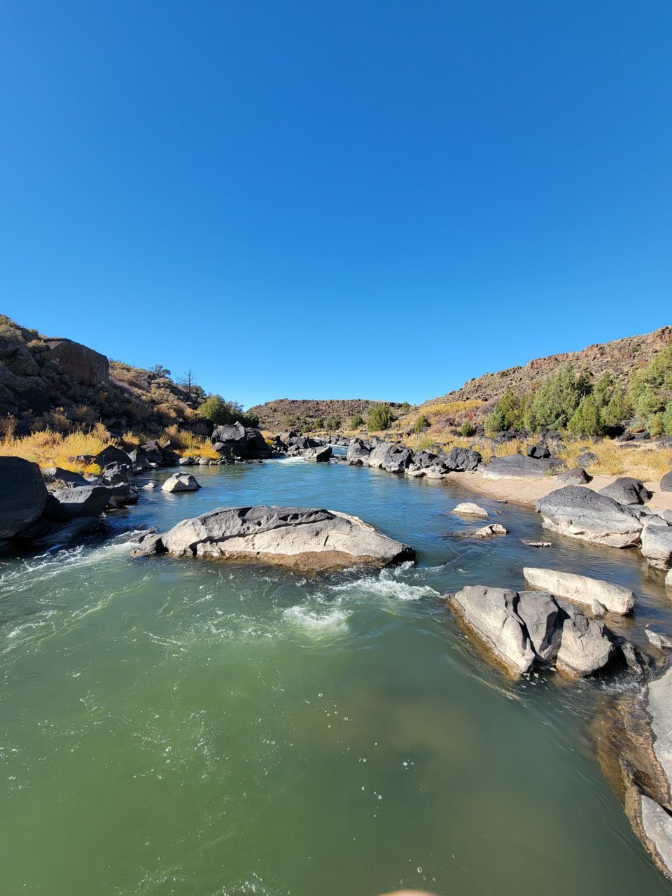 20211015_151627[1].jpg