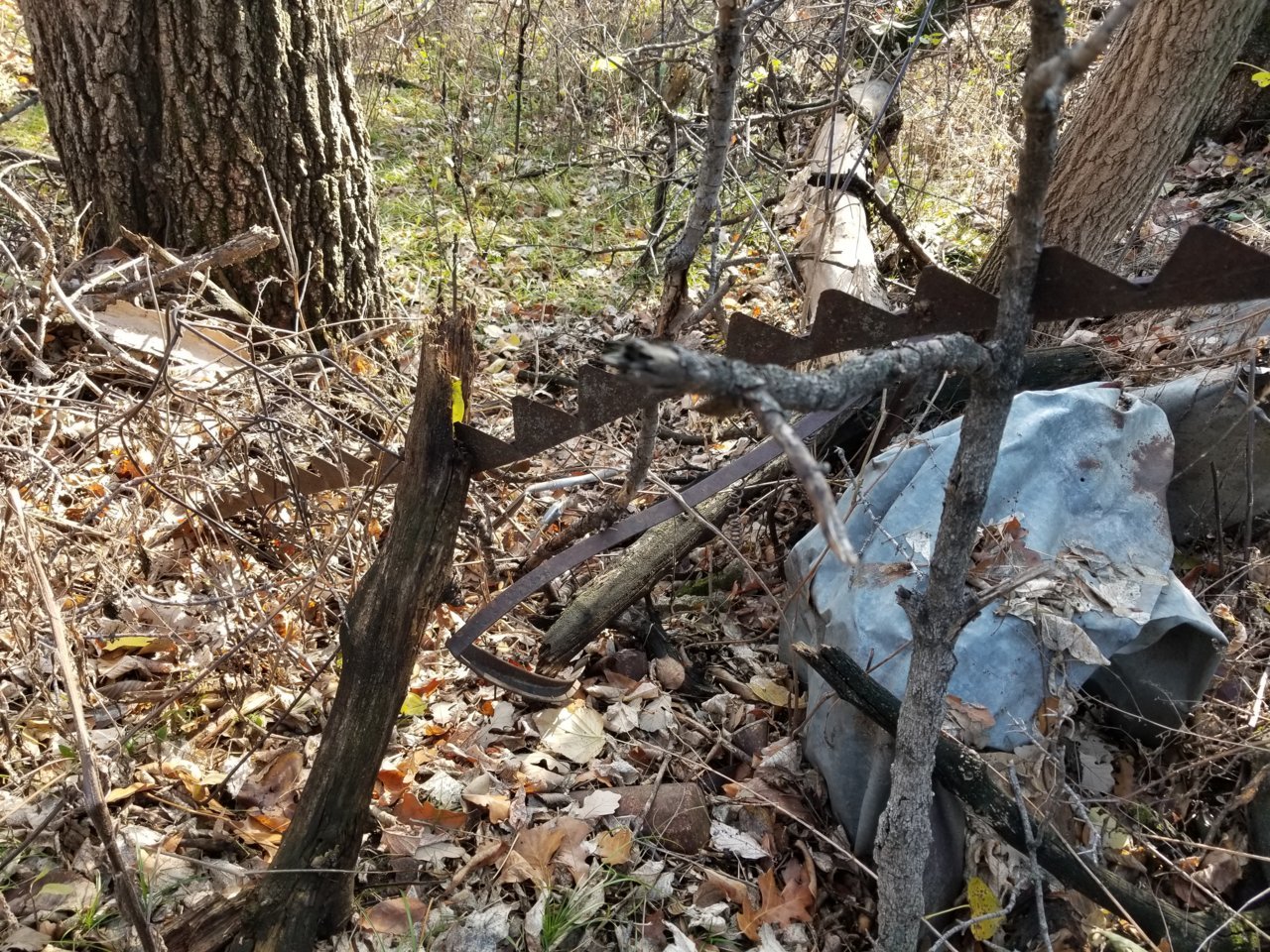 20211015_153649.jpg