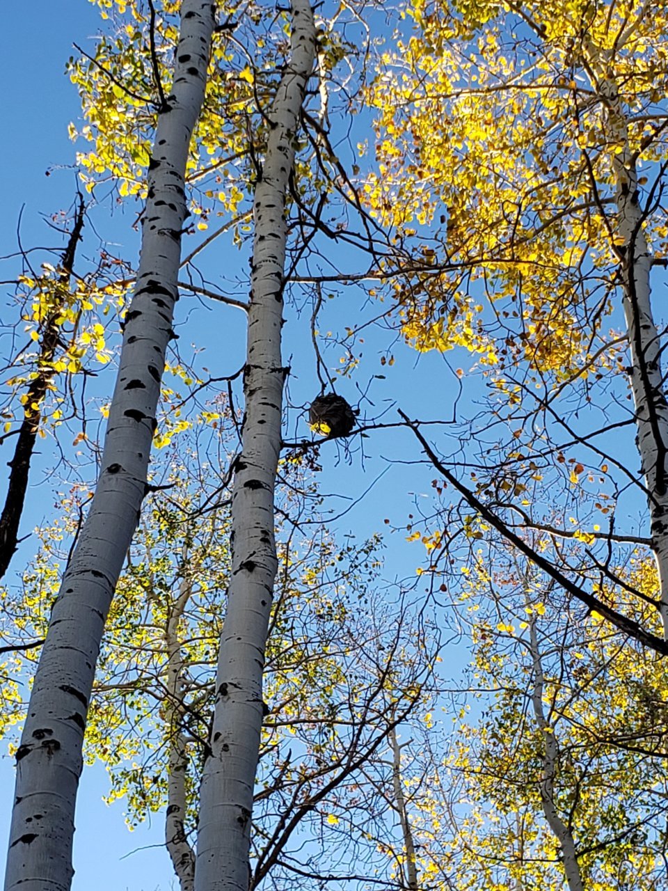 20211017_082512.jpg