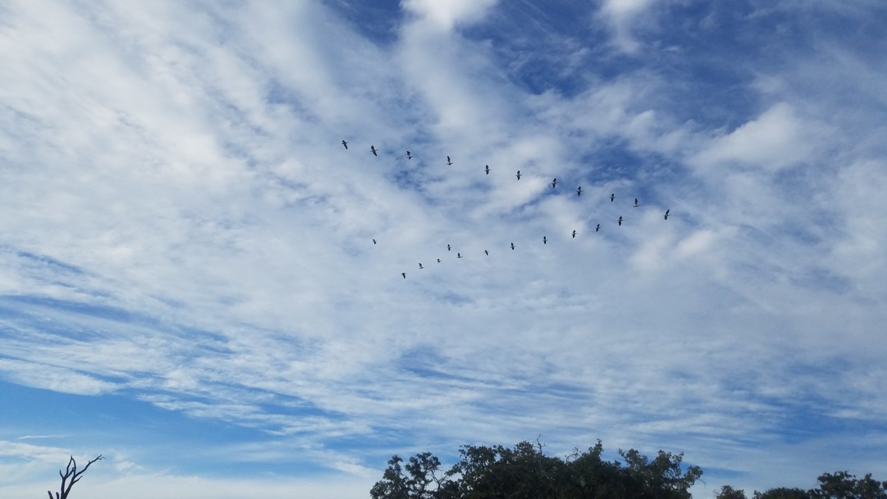 20211017_172331.jpg
