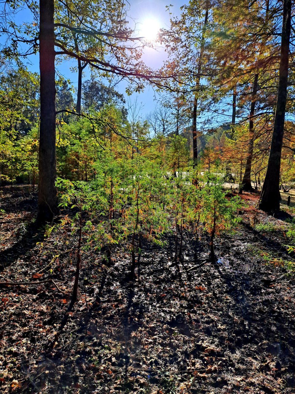 20211018_091351.jpg